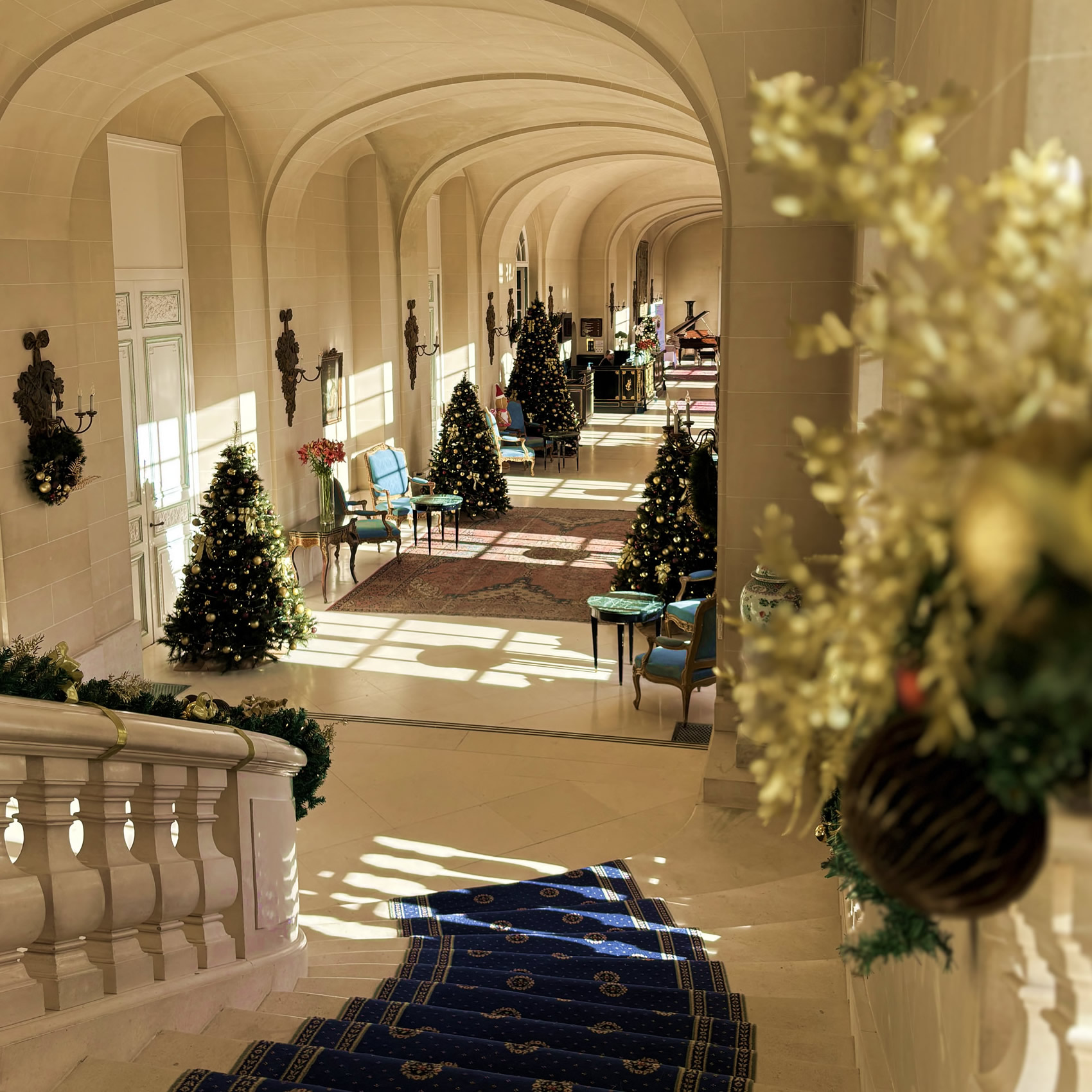 Couloir décoré de sapins de Noël lumineux.
